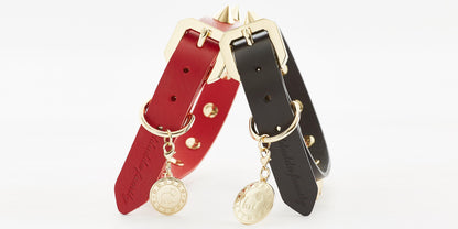 Golden Spike Red Collar