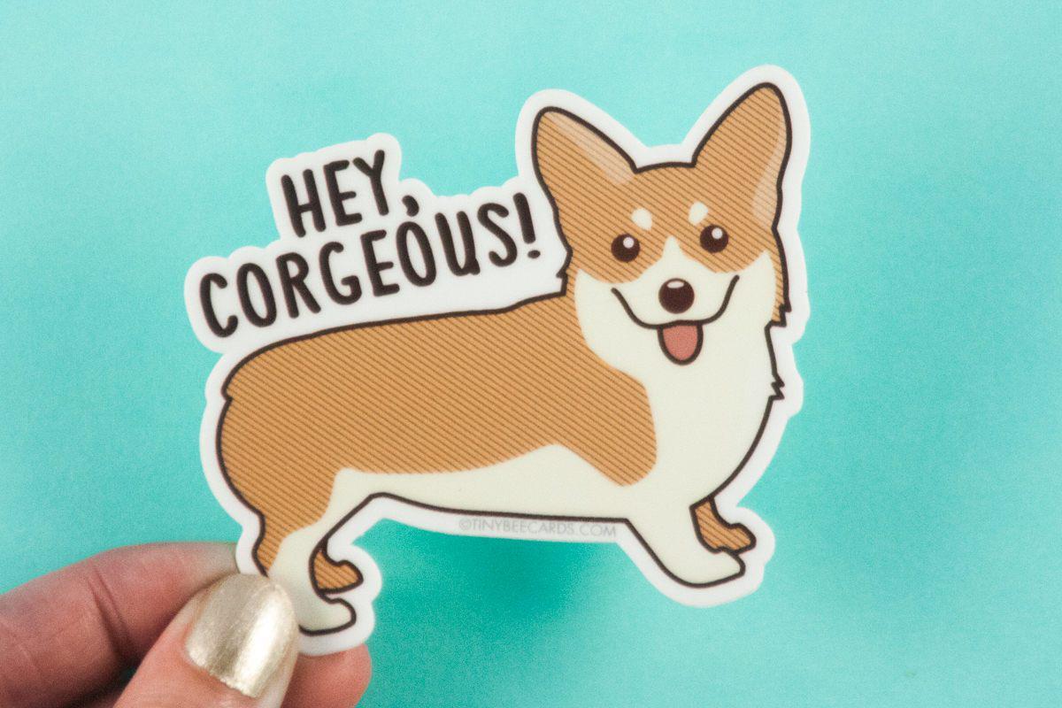 Funny Corgi Vinyl Sticker "Hey Corgeous!"